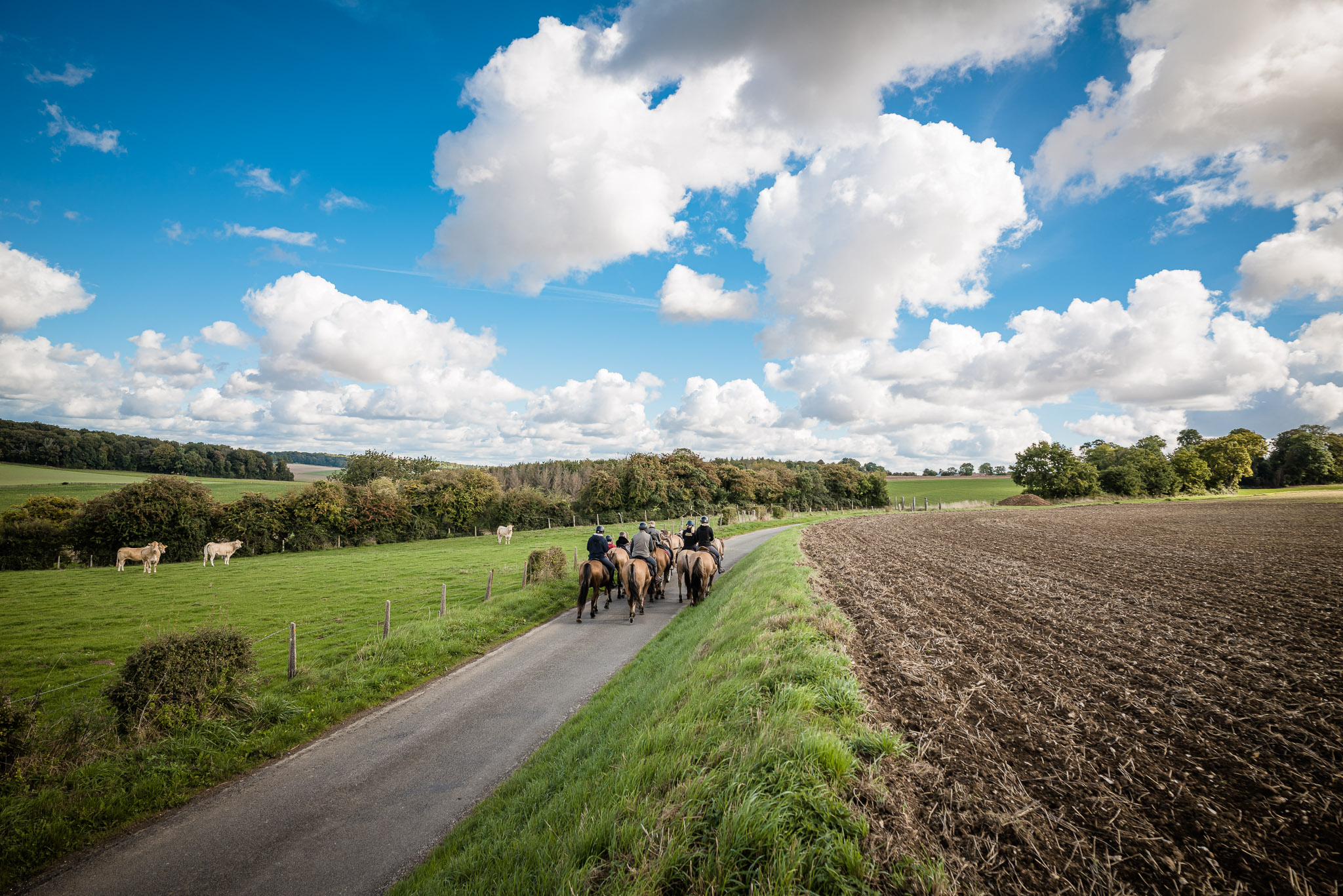 Voyages expérientiels à cheval en Terre Henson