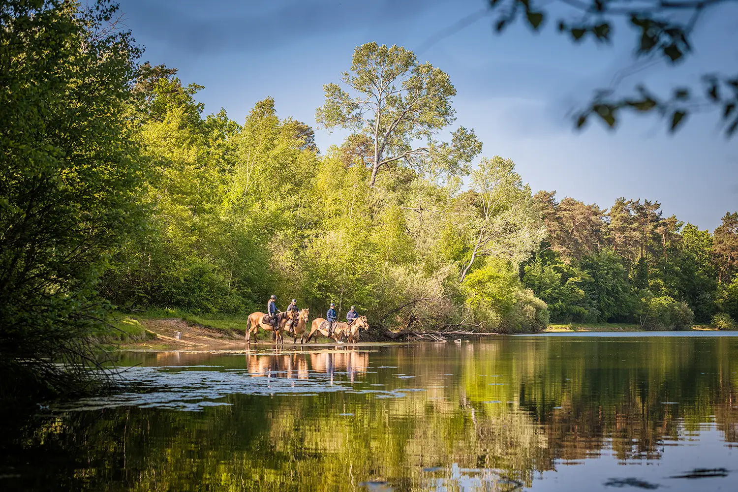 Les Espaces Équestres Henson recrutent!