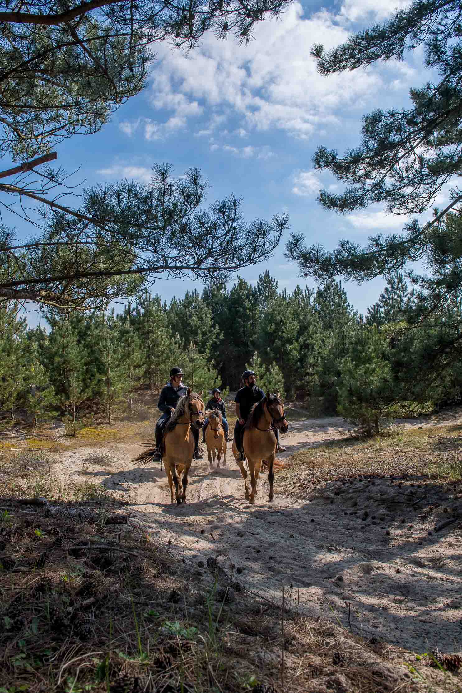 Réservation créneaux