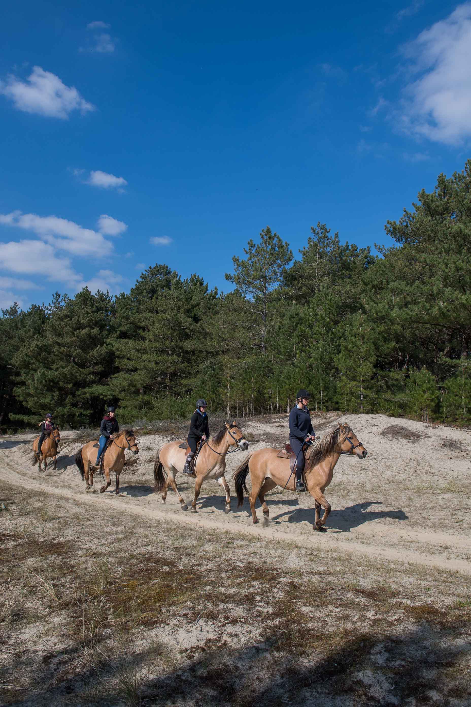 Réservation créneaux