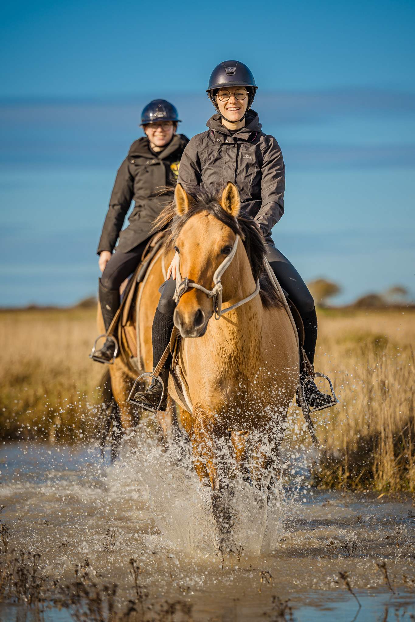 Initiation à l'équitation