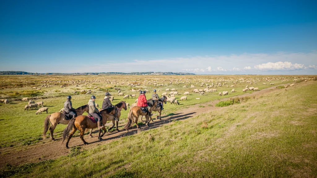 Voyages expérientiels à cheval en Terre Henson
