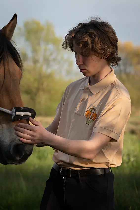 Le polo Henson