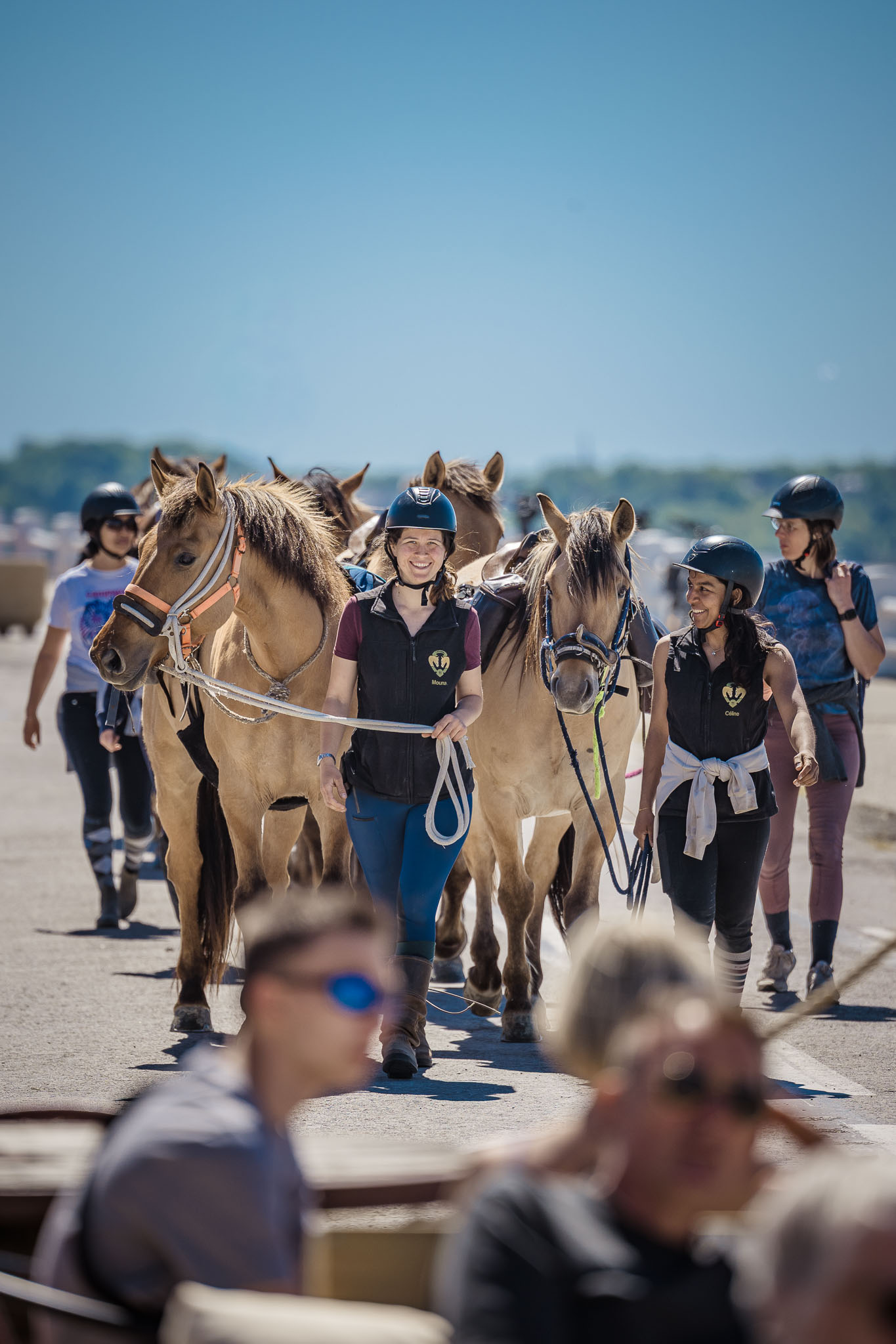 Journée découverte dans les dunes