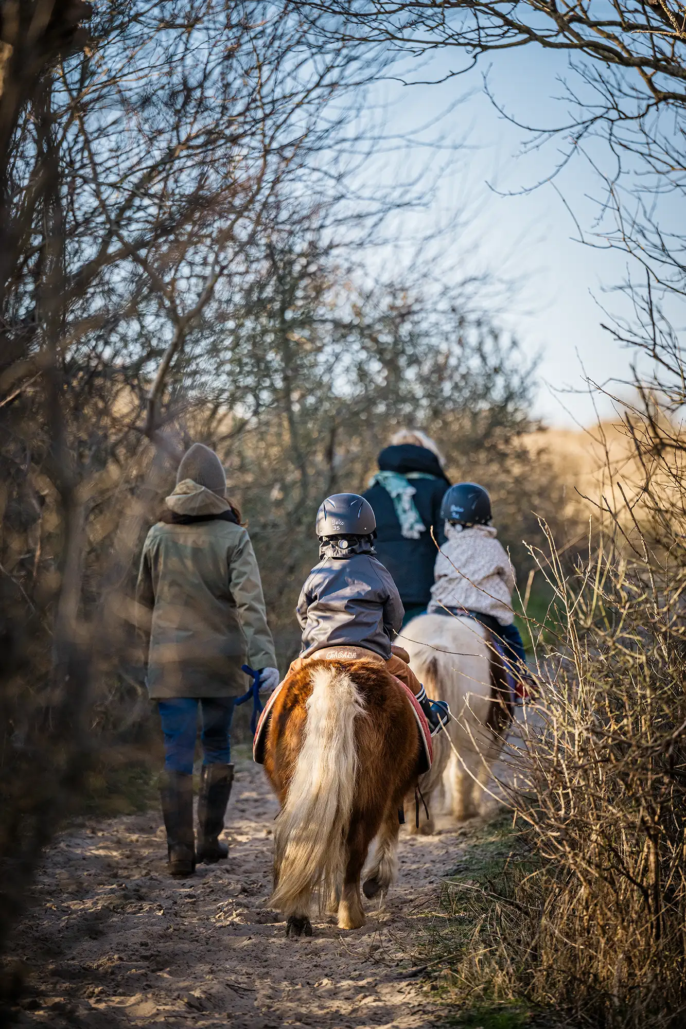 Tour à poney pour les enfants
