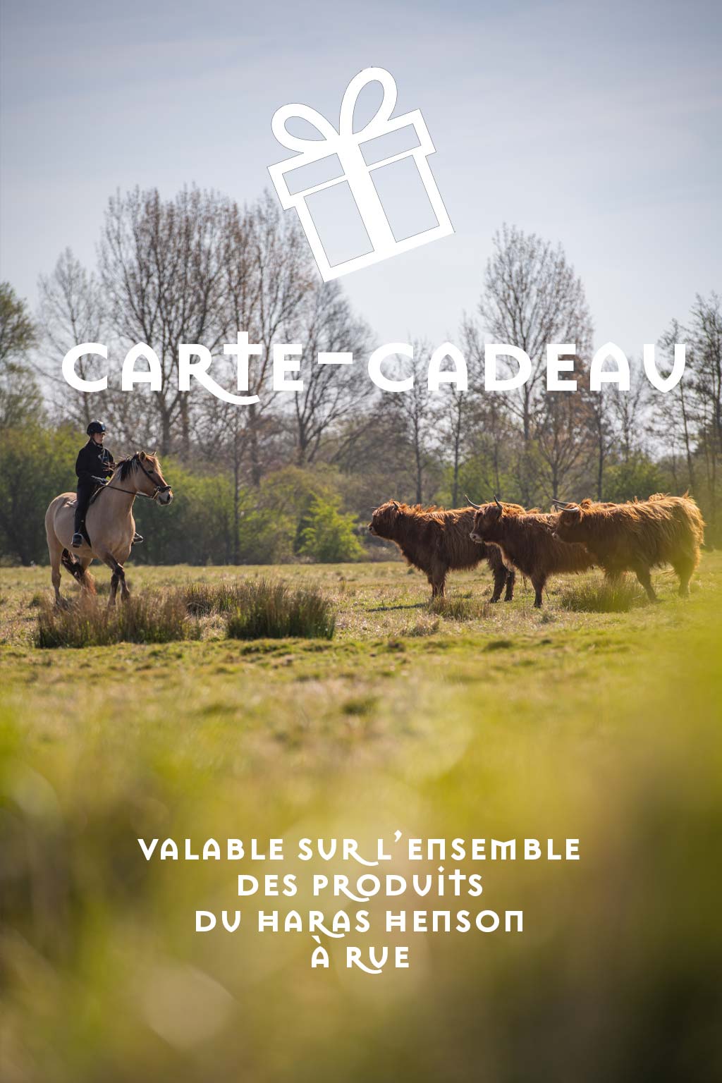 La carte-cadeau
