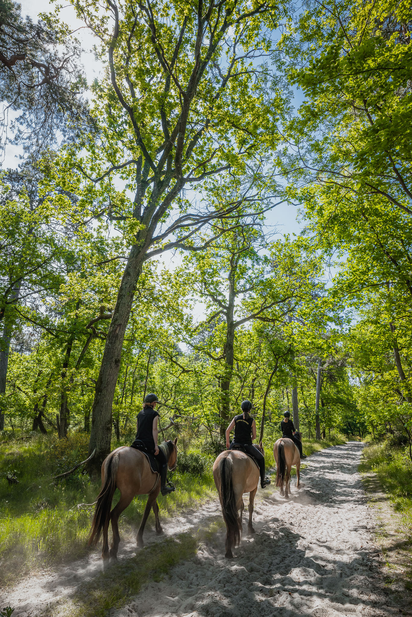 Balade découverte